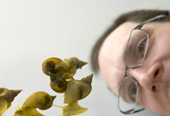 Photo: Cathy Levesque